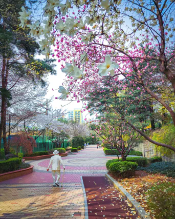 내 마음도 청춘 - 입선(아가포럼 대표) 박은기 作